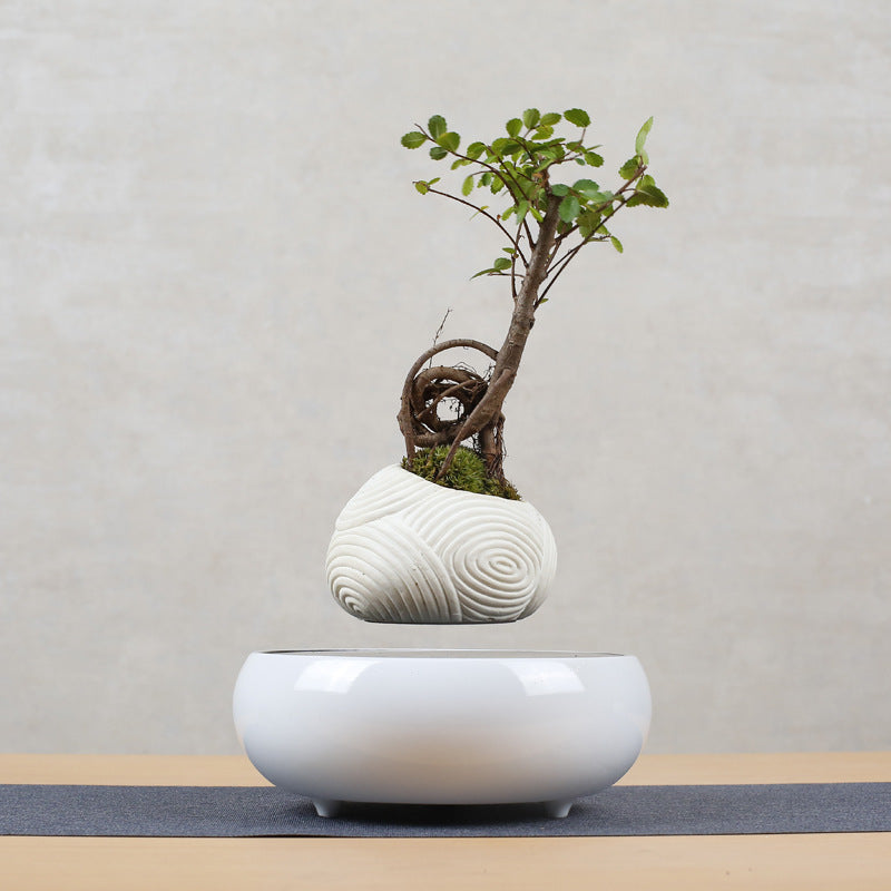 Magnetic Levitation Potted Plant Creative Gift Furniture Decoration - Vortex Trends